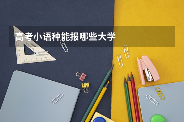 高考小语种能报哪些大学
