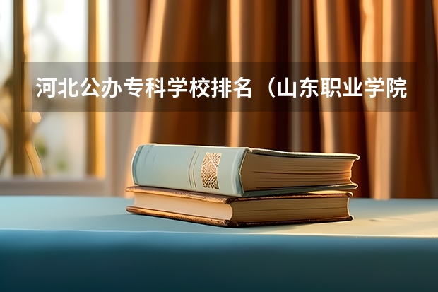 河北公办专科学校排名（山东职业学院前十名的学校）