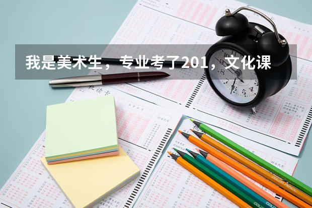 我是美术生，专业考了201，文化课310，请问可以上山东省内什么专科学校？要公办的