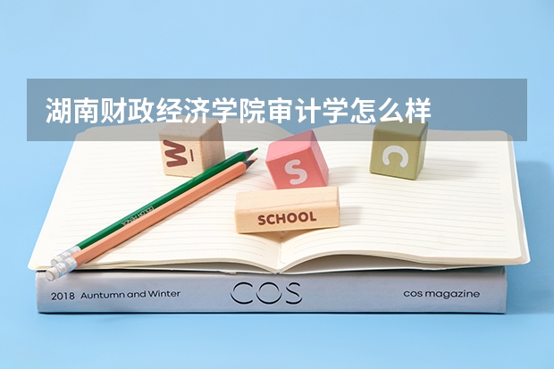 湖南财政经济学院审计学怎么样