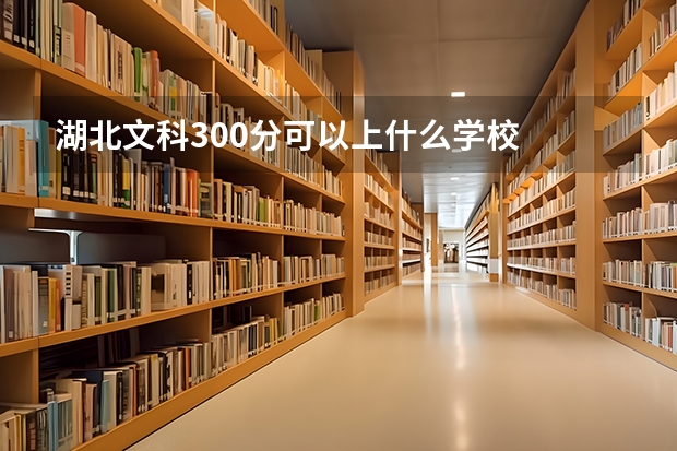 湖北文科300分可以上什么学校
