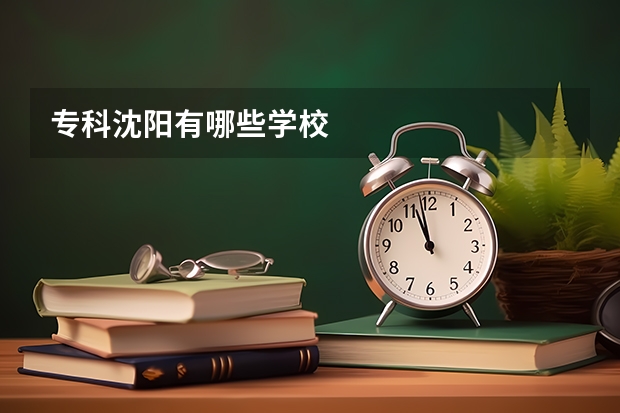 专科沈阳有哪些学校