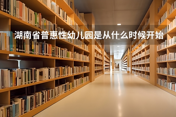 湖南省普惠性幼儿园是从什么时候开始的
