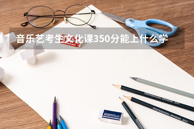 音乐艺考生文化课350分能上什么学校