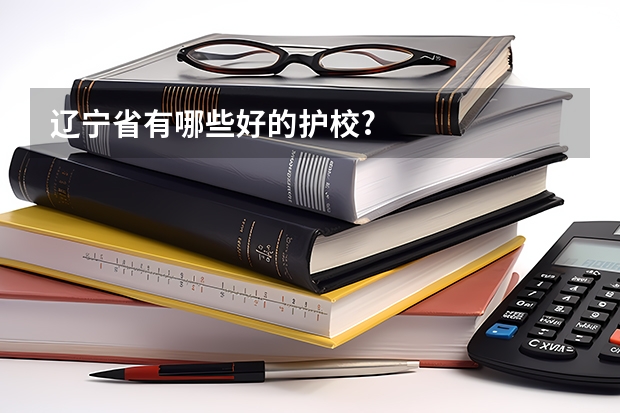 辽宁省有哪些好的护校?