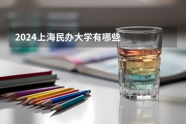 2024上海民办大学有哪些