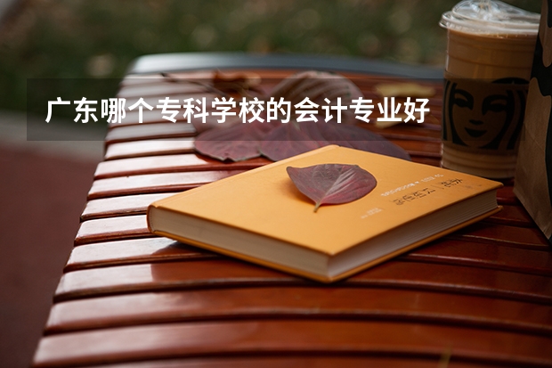 广东哪个专科学校的会计专业好