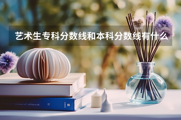 艺术生专科分数线和本科分数线有什么区别