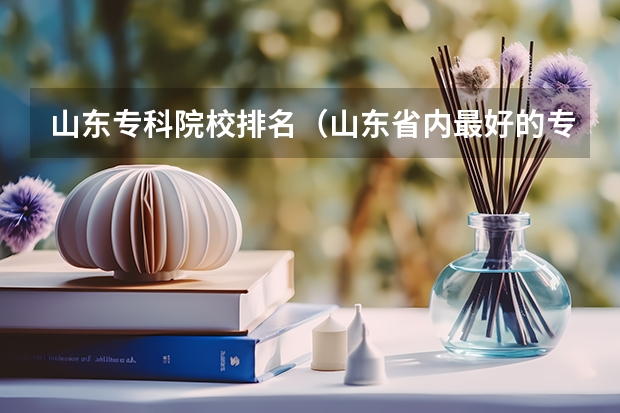 山东专科院校排名（山东省内最好的专科学校排名）