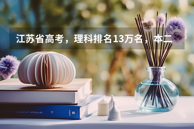 江苏省高考，理科排名13万名，本二线307，考了313，能上什么学校啊