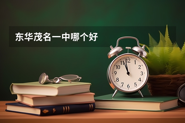 东华茂名一中哪个好