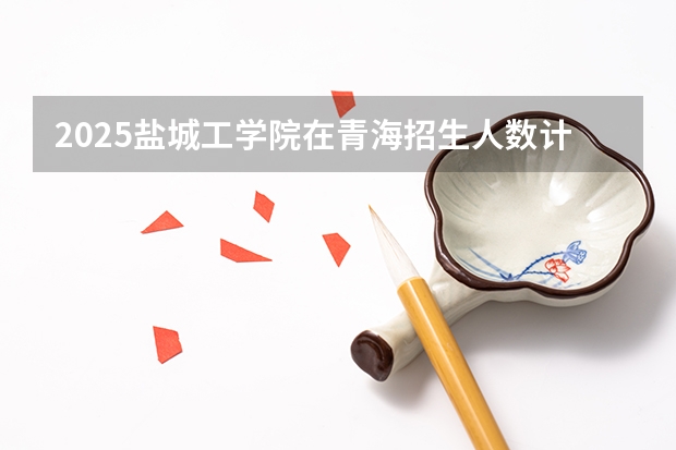 2025盐城工学院在青海招生人数计划预测
