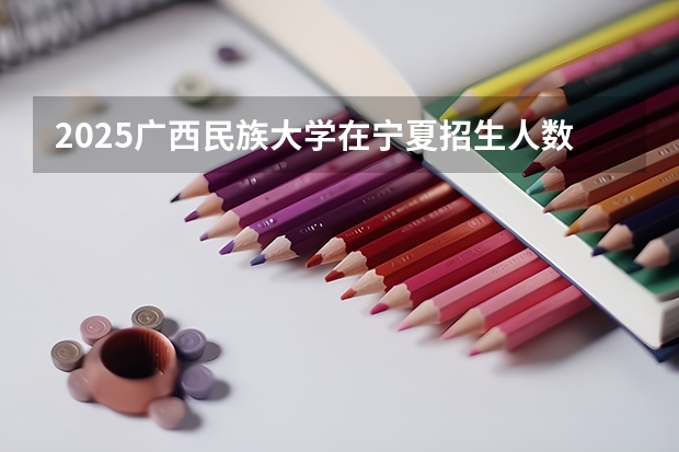 2025广西民族大学在宁夏招生人数计划预测
