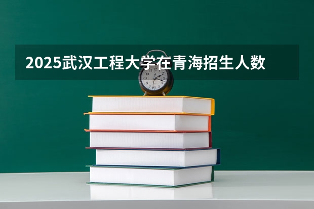 2025武汉工程大学在青海招生人数计划预测