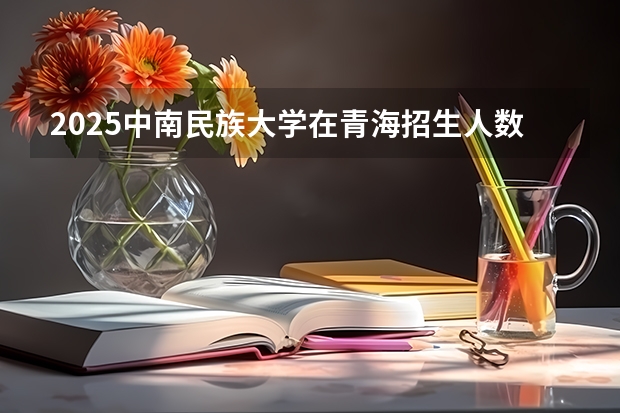 2025中南民族大学在青海招生人数计划预测