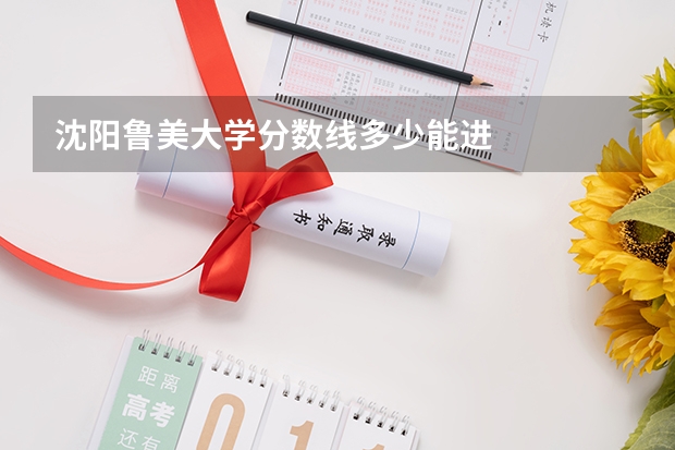 沈阳鲁美大学分数线多少能进