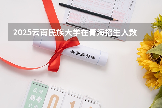 2025云南民族大学在青海招生人数计划预测