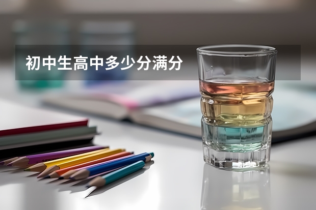 初中生高中多少分满分