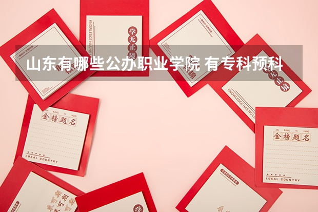 山东有哪些公办职业学院 有专科预科呀 谢谢.