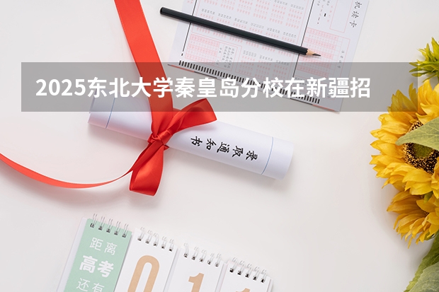 2025东北大学秦皇岛分校在新疆招生人数计划预测