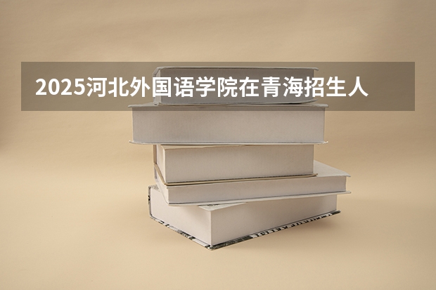 2025河北外国语学院在青海招生人数计划预测